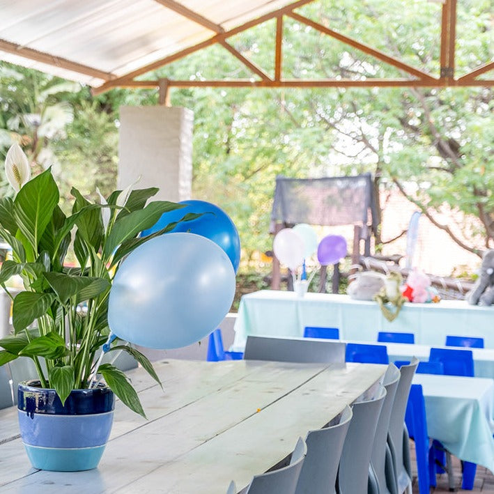 Premium Farmyard Party Package